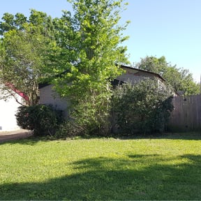 Bush Trimming by Huntech, LLC reviewed on September 7, 2023