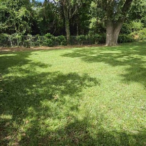 yard care by Hugheslandscaping reviewed on December 15, 2025