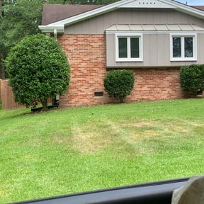 Bush Trimming by B&amp;R Elite Lawn Services reviewed on April 11, 2024