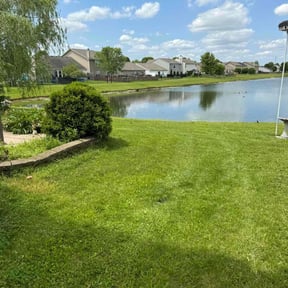 residential landscaping by Roger W Ries reviewed on June 30, 2025