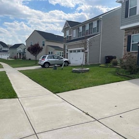 yard service by Diesel Dog Lawn Care LLC reviewed on August 15, 2025