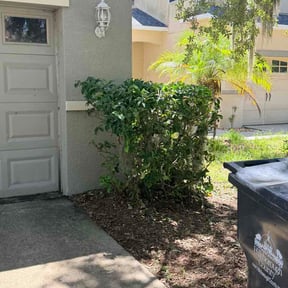 Bush Trimming by All Electric Landscaping reviewed on August 25, 2026