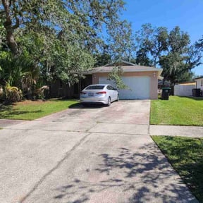 residential landscaping by AllTex Home And Commercial Services reviewed on August 18, 2025