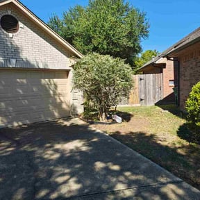 Bush Trimming by Jaxson Joyful Hands LLC reviewed on October 20, 2025