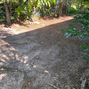 Leaf Removal by Shaggy cuts,INC reviewed on June 18, 2026