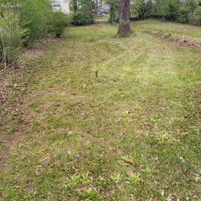 Leaf Removal by Tikitiki Garden Service reviewed on September 12, 2025