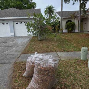 Leaf Removal by The Lawn Doctors LLC reviewed on April 23, 2026