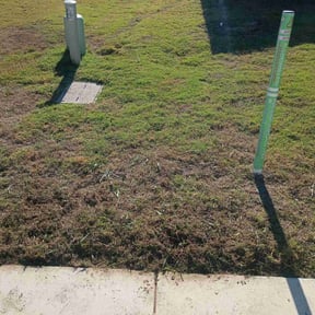 Flower Bed Weeding by Freel's Lawn Care reviewed on October 21, 2025