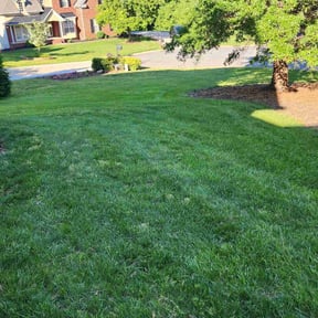 lawn service by Lawns landscapes and more reviewed on August 18, 2025