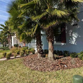 Bush Trimming by Bulldog Lawn Care reviewed on August 17, 2025