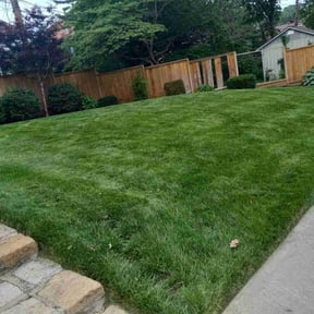 yard maintenance by OTG Services reviewed on December 11, 2025