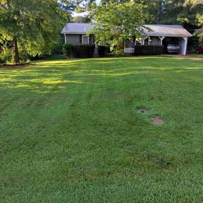 yard maintenance by Torco Services reviewed on August 16, 2025