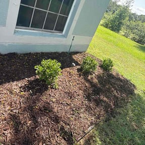 Flower Bed Weeding by D.P.S (Dave Property Services) reviewed on August 17, 2026