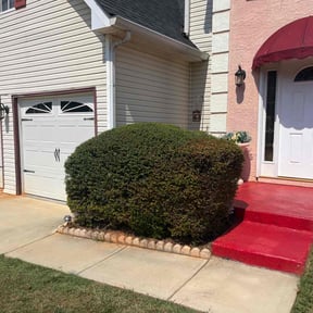 Bush Trimming by N&amp;J&#039;s lawncare reviewed on November 10, 2025