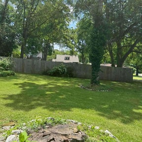 turf maintenance by Nichols Lawn & Landscaping reviewed on September 17, 2024
