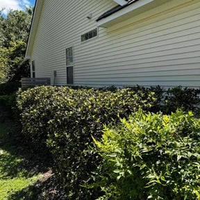 Bush Trimming by Joey Smith reviewed on October 18, 2025