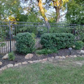 Bush Trimming by Reel Casual Lawn Care reviewed on August 19, 2025