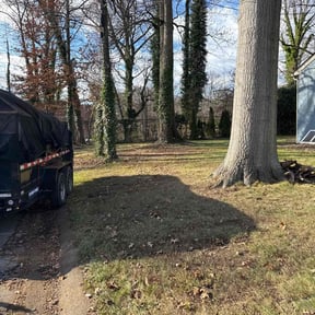 Leaf Removal by GTS Lawn Company reviewed on December 14, 2025