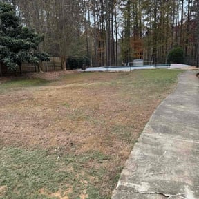 Leaf Removal by WesleyBrothers lawn care LLC reviewed on November 23, 2025