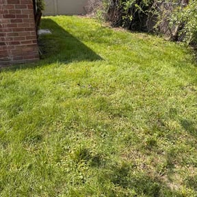 Leaf Removal by Fm cleaning and lawn reviewed on July 4, 2026