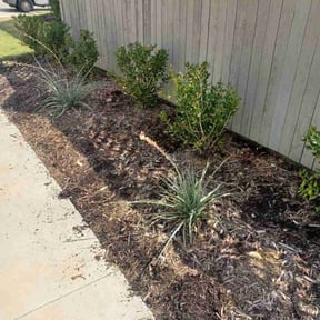 Flower Bed Weeding by Felix Alejos reviewed on May 27, 2026