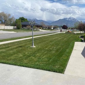 residential landscaping by K.H. lawn care reviewed on August 14, 2025