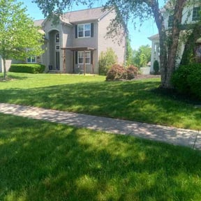 residential landscaping by Mauler Mowing LLC reviewed on December 16, 2025