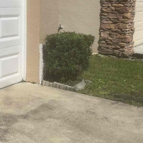 Bush Trimming by KCT Landscaping reviewed on August 16, 2025