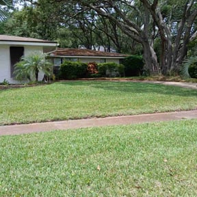 yard service by Emerson mowing reviewed on August 16, 2025
