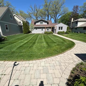 landscape maintenance by MikesHandyManService reviewed on August 16, 2025