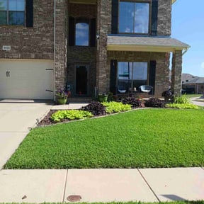 landscaping services by Collins Lawn Care reviewed on November 22, 2025