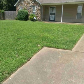 yard care by The Williams reviewed on August 14, 2025