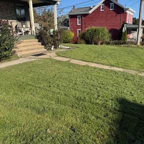 turf maintenance by Stetty's Lawn LLC reviewed on January 5, 2024