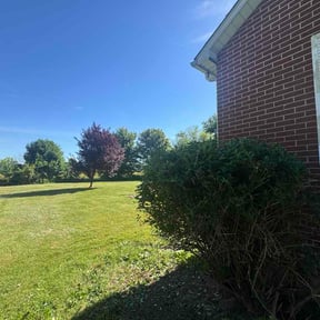 Bush Trimming by Turf Ticklers LLC reviewed on May 29, 2026
