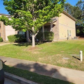 landscaping services by No B.S. landscape reviewed on August 19, 2025