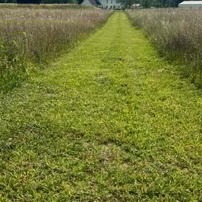 turf care by Dunn's Lawn Services reviewed on April 5, 2024