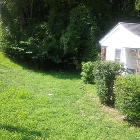 Bush Trimming by Doyle Land Systems reviewed on November 9, 2017