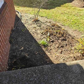 Flower Bed Weeding by Salvador Lawn and Tree Service reviewed on May 7, 2024