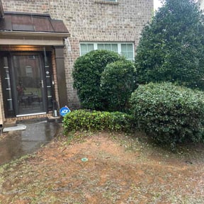 Bush Trimming by Silva lawn care reviewed on August 18, 2025