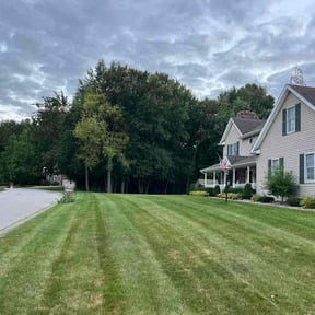 turf maintenance by MowMasters reviewed on July 7, 2025
