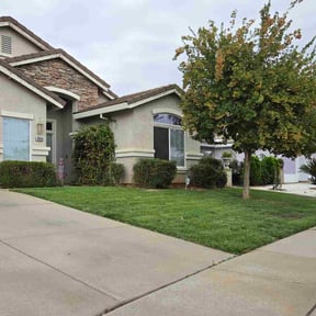 Bush Trimming by Texas Compass reviewed on November 21, 2025