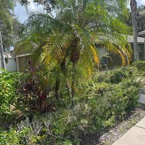 lawn maintenance by Everything Gregory Llc  reviewed on April 14, 2024