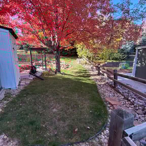 Leaf Removal by Brightleaf Landscaping reviewed on November 10, 2025