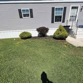 Bush Trimming by Mos Landscaping Service reviewed on May 29, 2026
