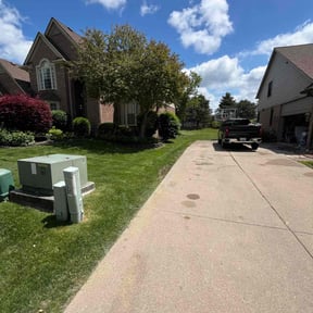 yard service by Speedy lawn care reviewed on August 17, 2025