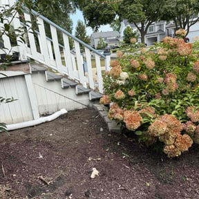 Flower Bed Weeding by Twin Blades Lawn Care reviewed on November 8, 2025