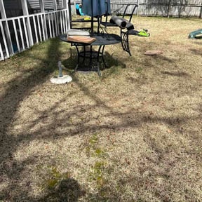 Leaf Removal by Southern Blooms Landscaping reviewed on March 4, 2026