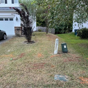 Bush Trimming by Toms Yard Care reviewed on August 19, 2025