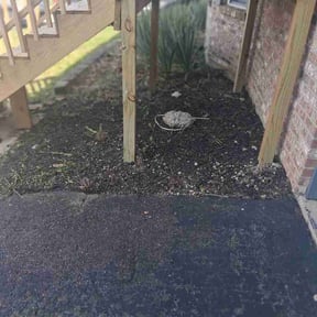 Flower Bed Weeding by Lawn and Labor Services reviewed on July 3, 2026