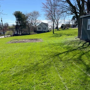 yard maintenance by MVP Lawn & Landscaping reviewed on August 17, 2025